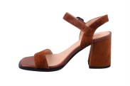 M19-815K-4